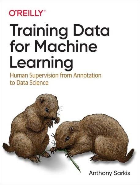 Training Data for Machine Learning (Häftad)