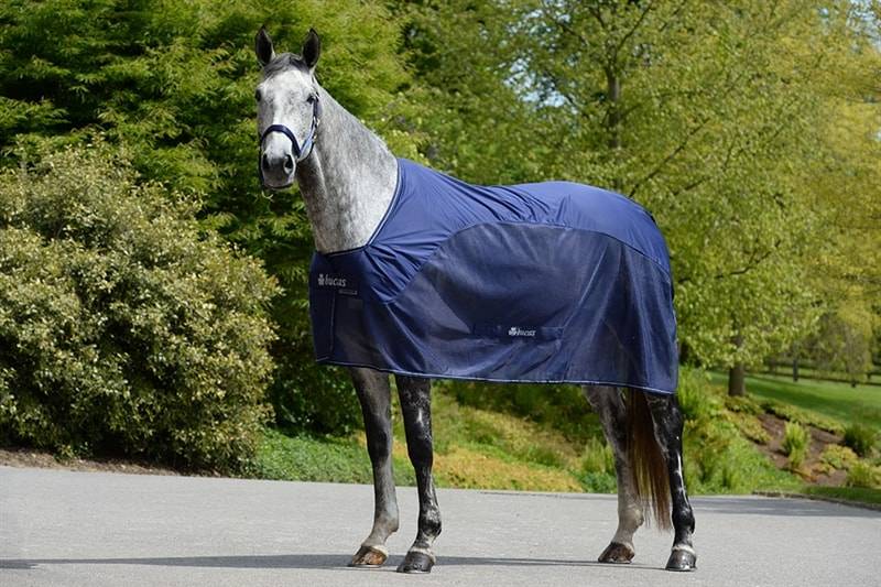 Bucas Competition Cooler Rug - Navy