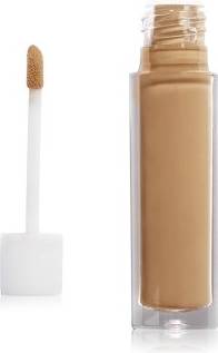 The Invisible Touch Refill Concealer