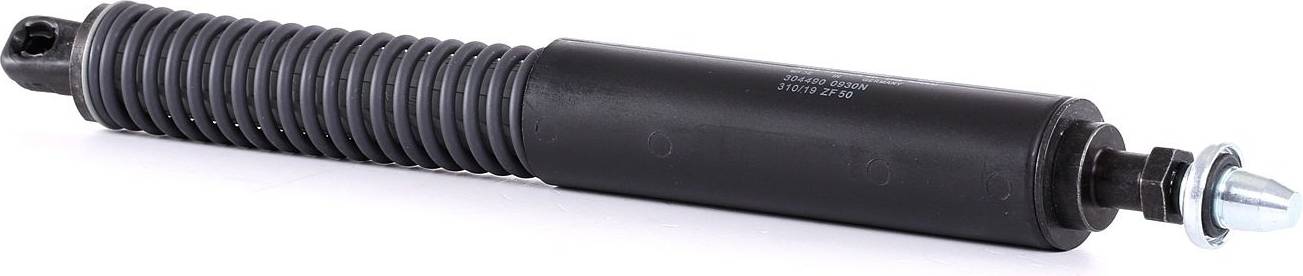 Stabilus 304490 Cargo Gas Spring