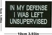 Shein Embroidered Patch - In My Defense I Was Left Unsupervised