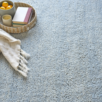 Exquisite Area Rug EXQUISITE RUGS Blue