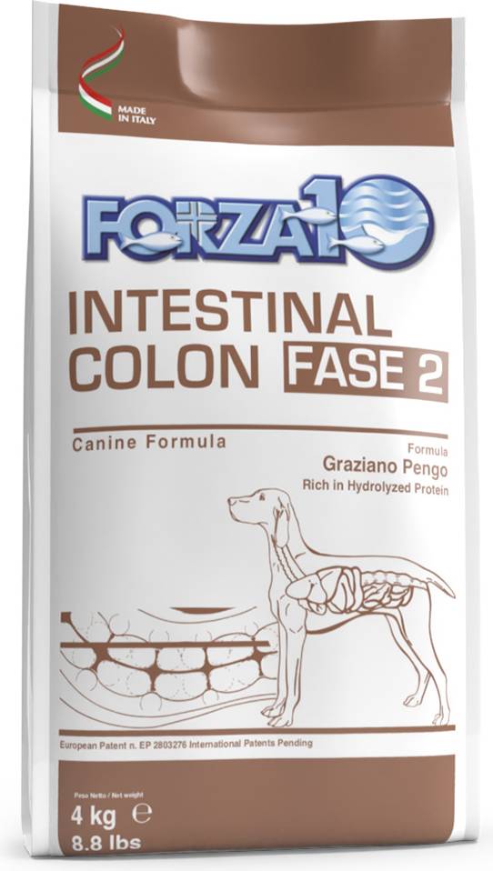 Active Line Intestinal Colon fase 2