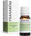 Essential Oils Eucalyptus Radiata Bio 10ml