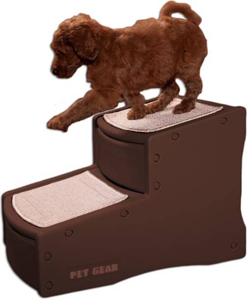 Easy Step II Pet Step