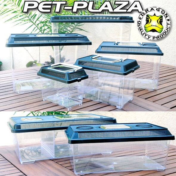 Fauna Boxe 1.35L Mini