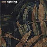 Mammuth Die To Rise In Spring (CD)