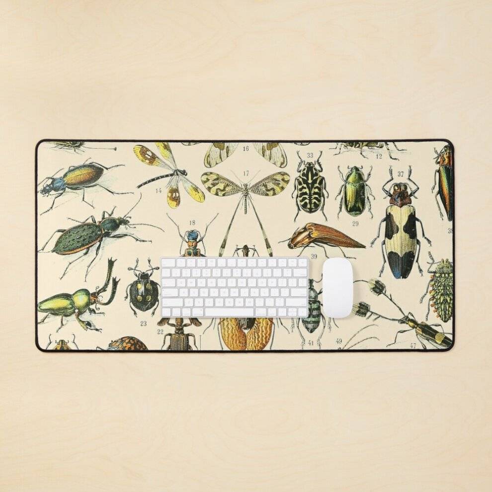 BearLad Mat Insects Vintage Bug Chart