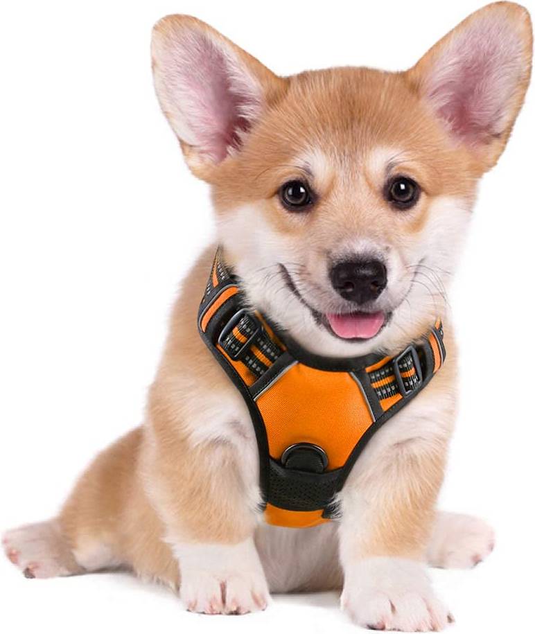 Rabbitgoo Rabbitgoo No Pull Dog Harness Loading Pet Vest