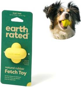 Fetch Toy Rubber