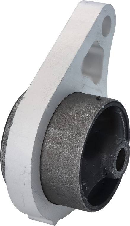 Ophæng Differential Land Rover 01164615