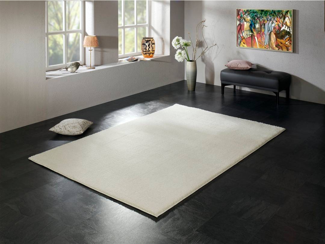 Brayden Studio Shag Cream Rug White