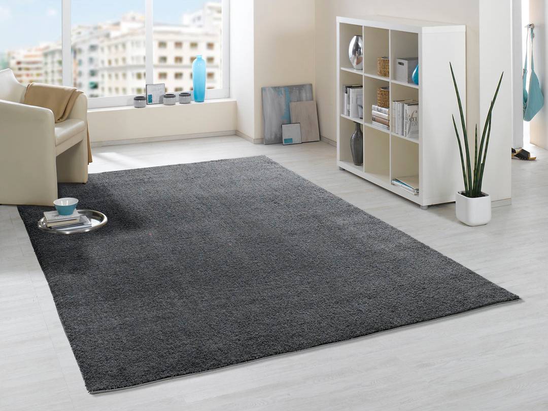Brayden Studio Shag Dark Rug Grey
