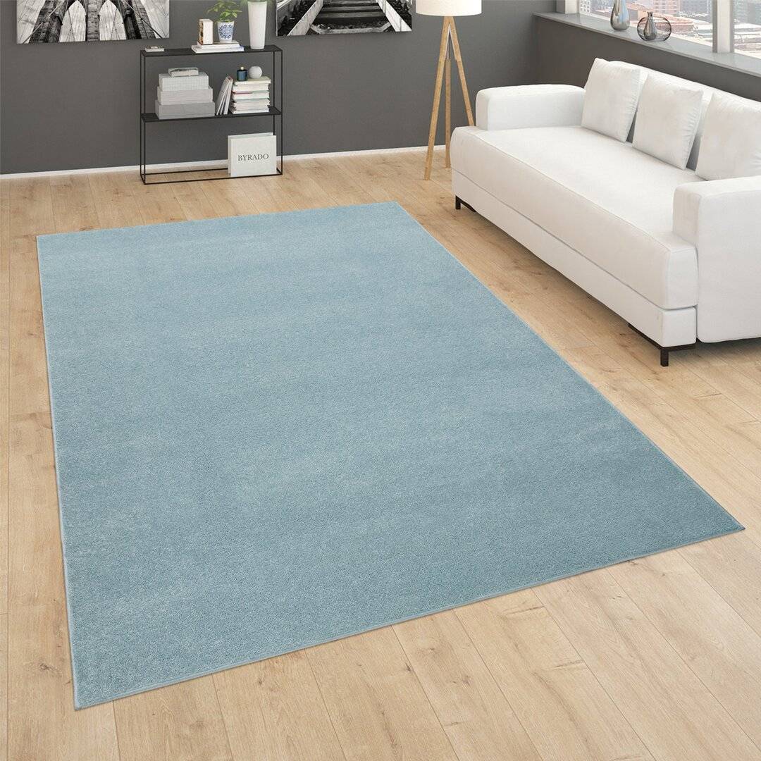 Ebern Designs Acus Simple and Power Turquoise