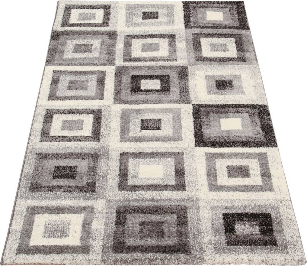 Ivy Bronx Rug Grey