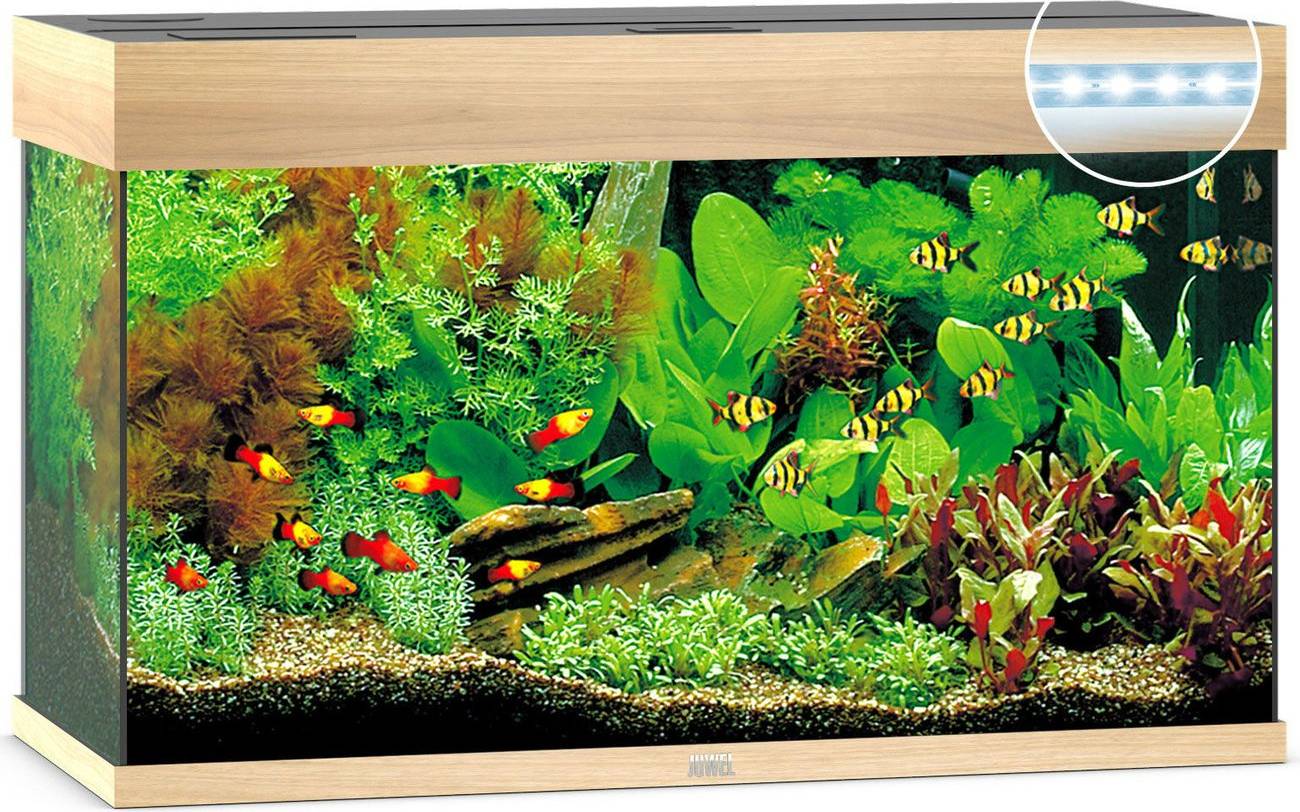 Juwel rio Juwel Rio 125 LED eik lyst tre