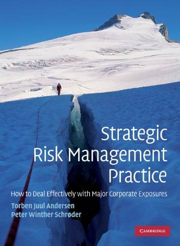 Strategic Risk Management Practice (Häftad, 2010)