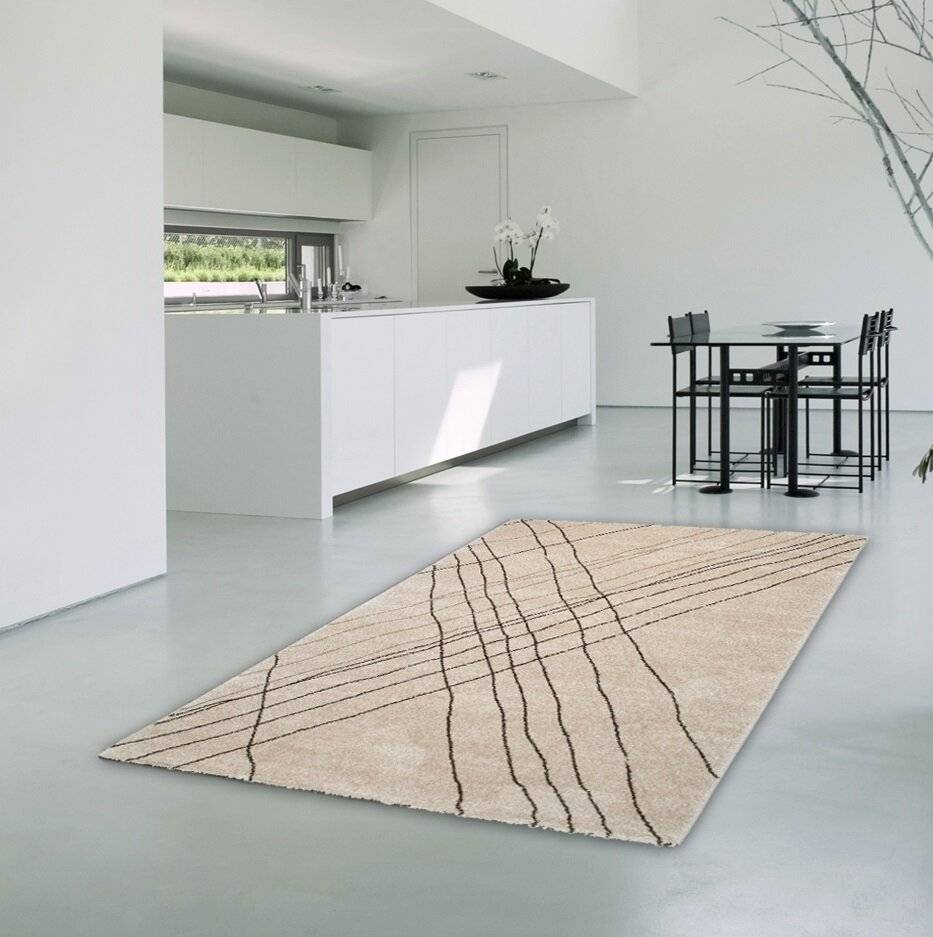 Metro Lane Roucourt Rug Beige