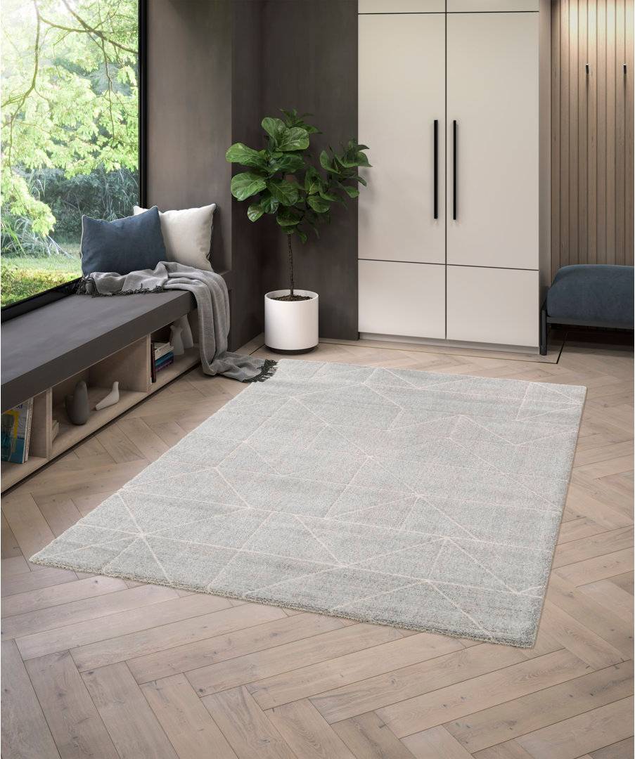 Hykkon Jaxson Rug Grey