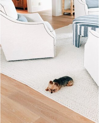 Area Rug Veranda