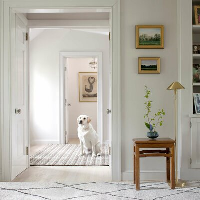 Dash and Albert Rugs Area Rug Dash Numa White