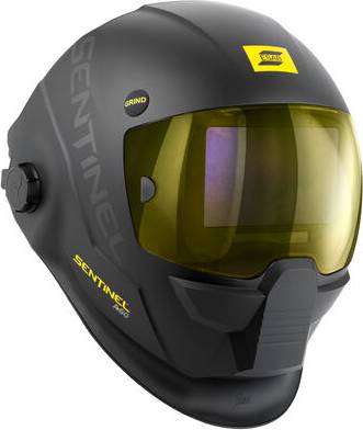 Sentinel A60
