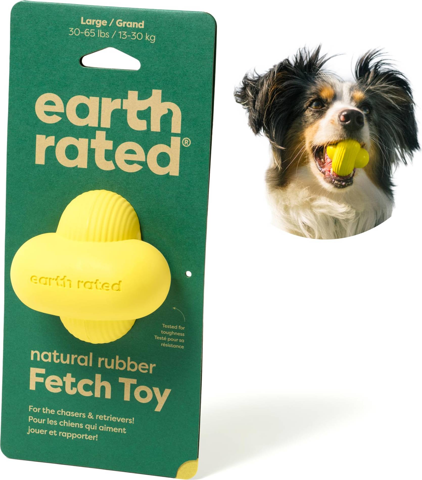 Fetch Toy Large