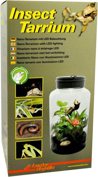 Terrarium Lucky Reptile Insect Terrarium