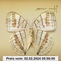 Xavier Rudd White Moth (CD)