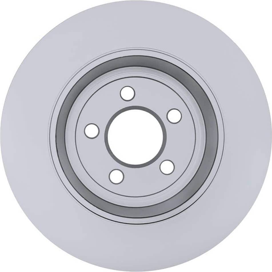 Dodge charger Raybestos 2014 Dodge Charger Rear Brake Rotor