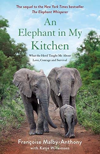 Elephant In My Kitchen