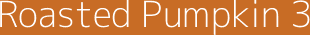 Dulux Colour Tester Roasted Pumpkin 30ML