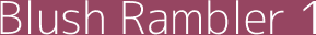 Dulux Colour Tester Blush Rambler