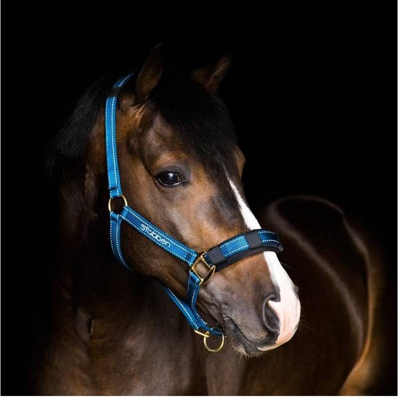 Reflective Stable Halter - Blue