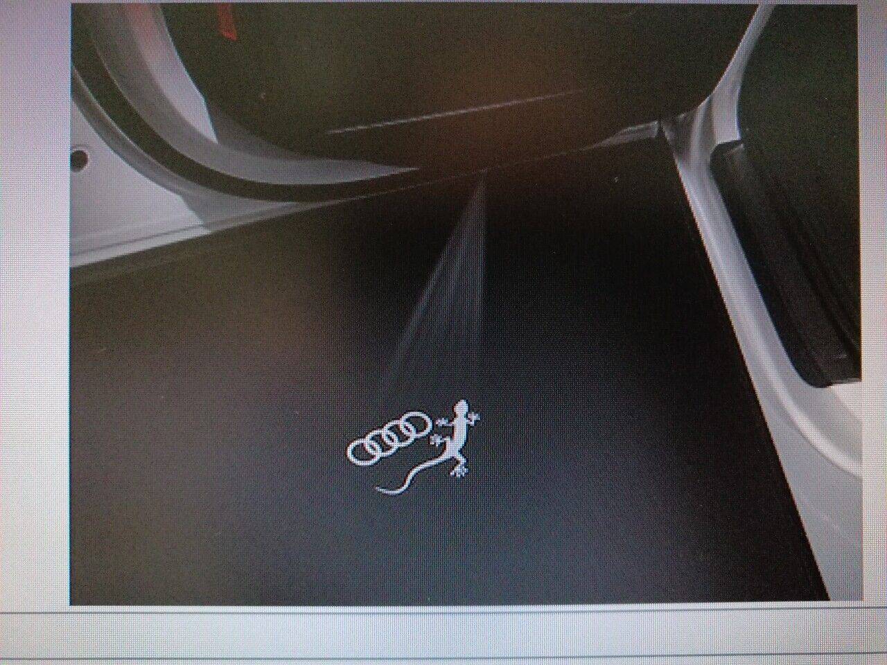 Original LED-Einstiegsleuchten Ringe-Gecko-Logo