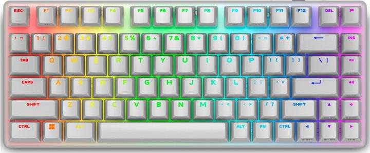 Dell Alienware Pro Wireless Keyboard