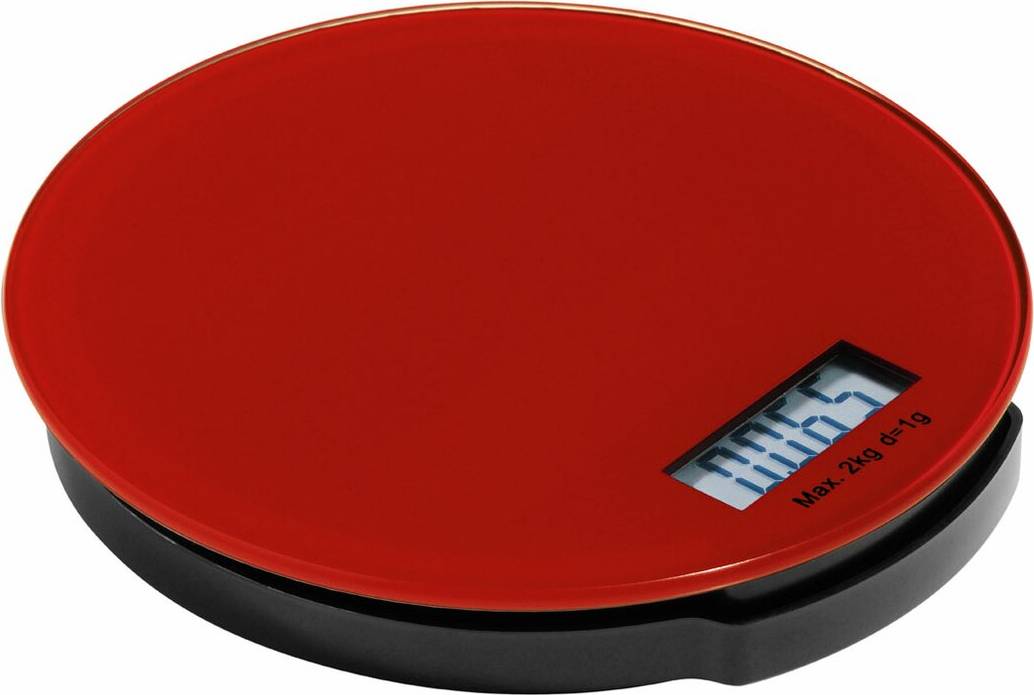 Wayfair Basics Digital Kitchen Scale