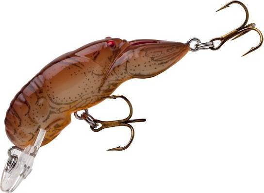 Wee Crawfish