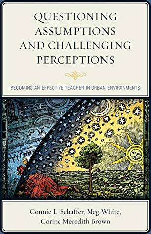 Questioning Assumptions and Challenging Perceptions (Paperback)