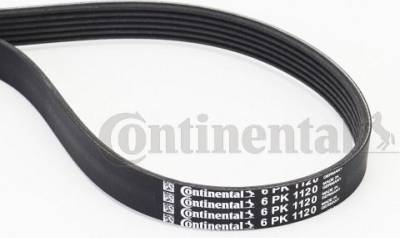 Contitech 6PK1120 V-Ribbed Belt