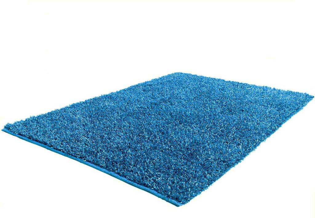 Ebern Designs Culpepper Shag Rug Turquoise