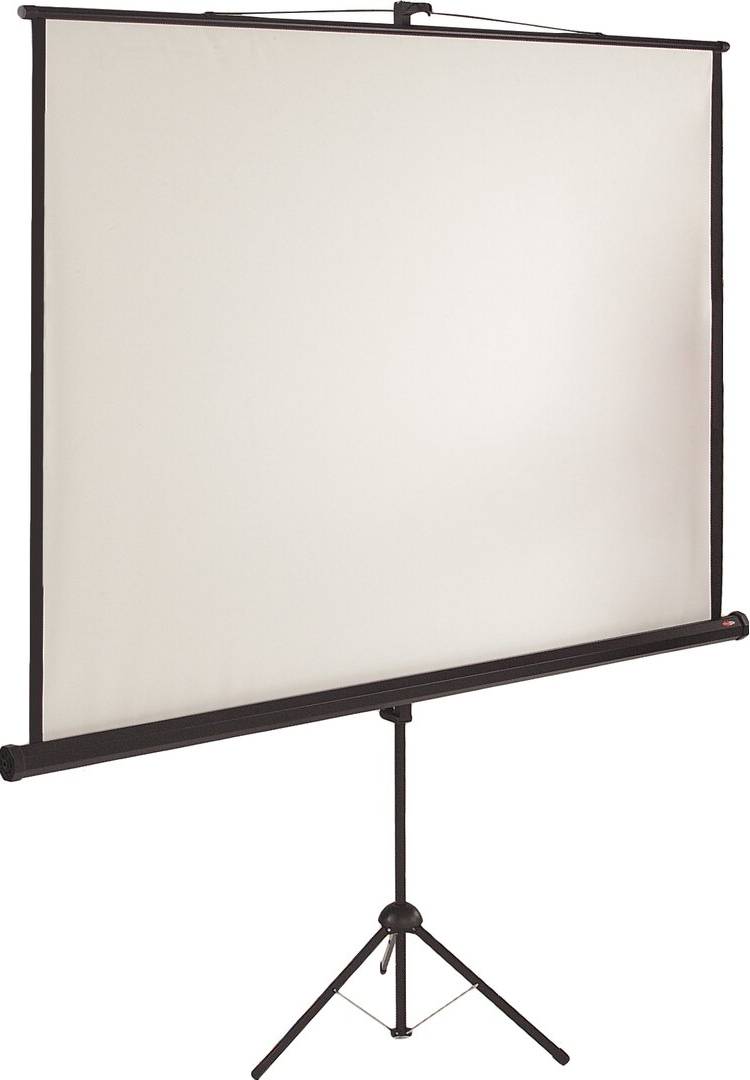 Symple Stuff White Portable Projection Screen