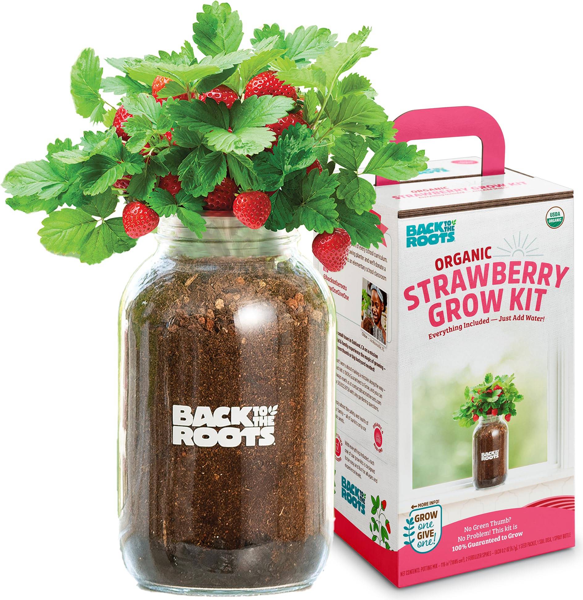 Grow kit Back To The Roots Organic Strawberry Grow Kit