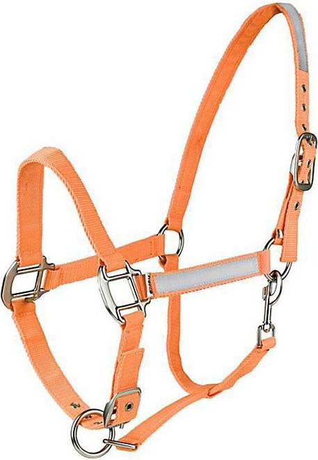 Reflective Halter