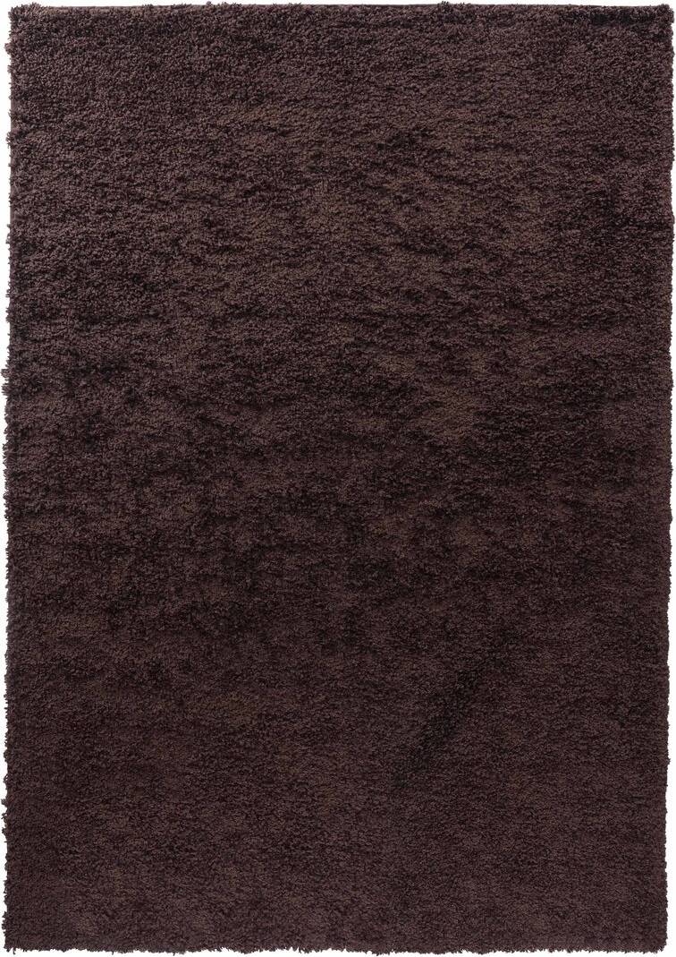 Hashtag Home Esterly Area Rug Brown