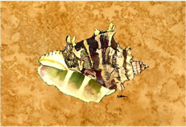 CoolCookware Shell Fabric Place Mat