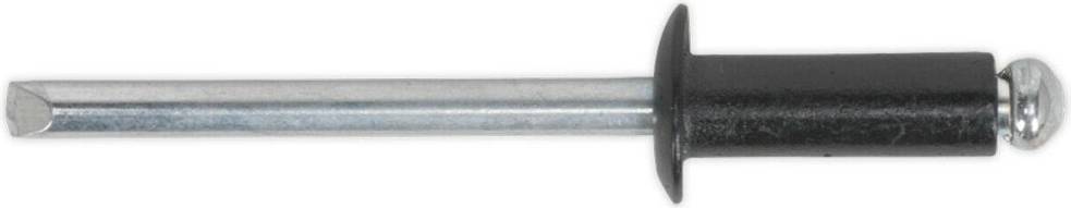 Loops 200 PACK Flange Rivets