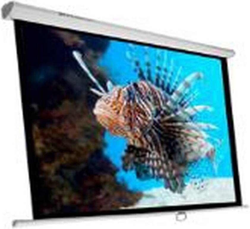 Phoenix PH200 112-Inch Projection Screen