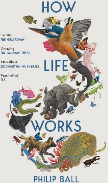 How Life Works