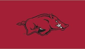 Evergreen Enterprises "Arkansas Razorbacks Turf Mat" 28x16"